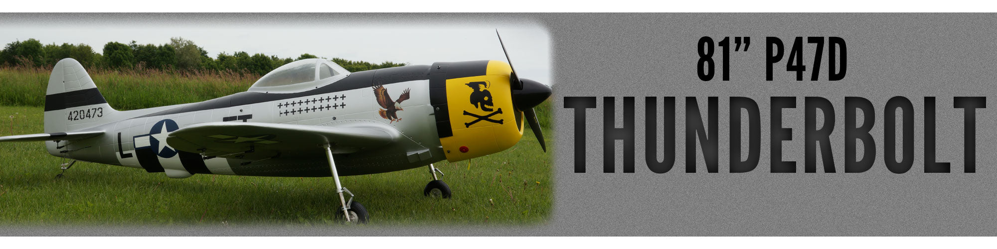 shop our Thunderbolt RC plane as part of our line of giant scale RC planes