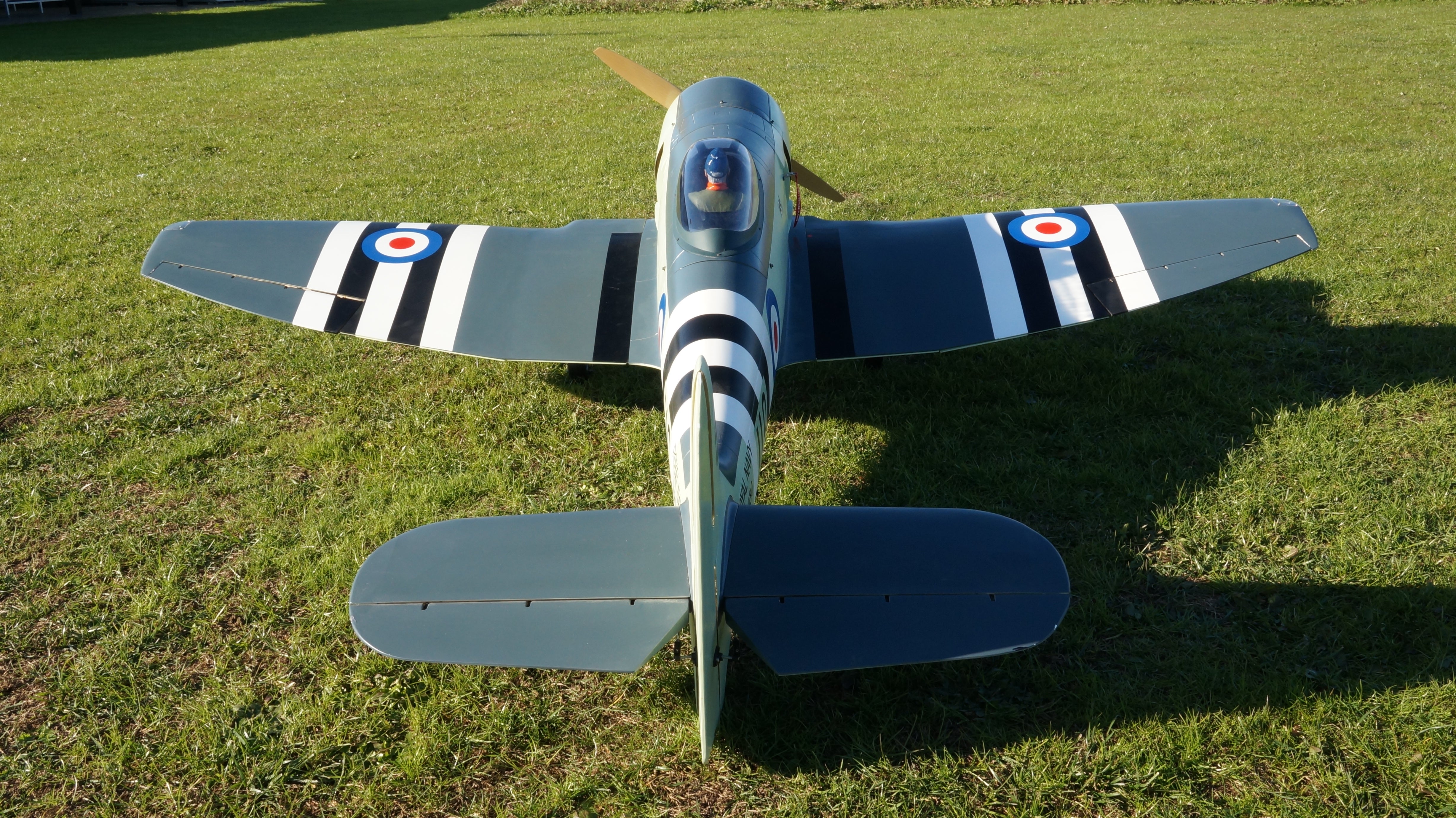 back overhead view of 96" Hawker Sea Fury