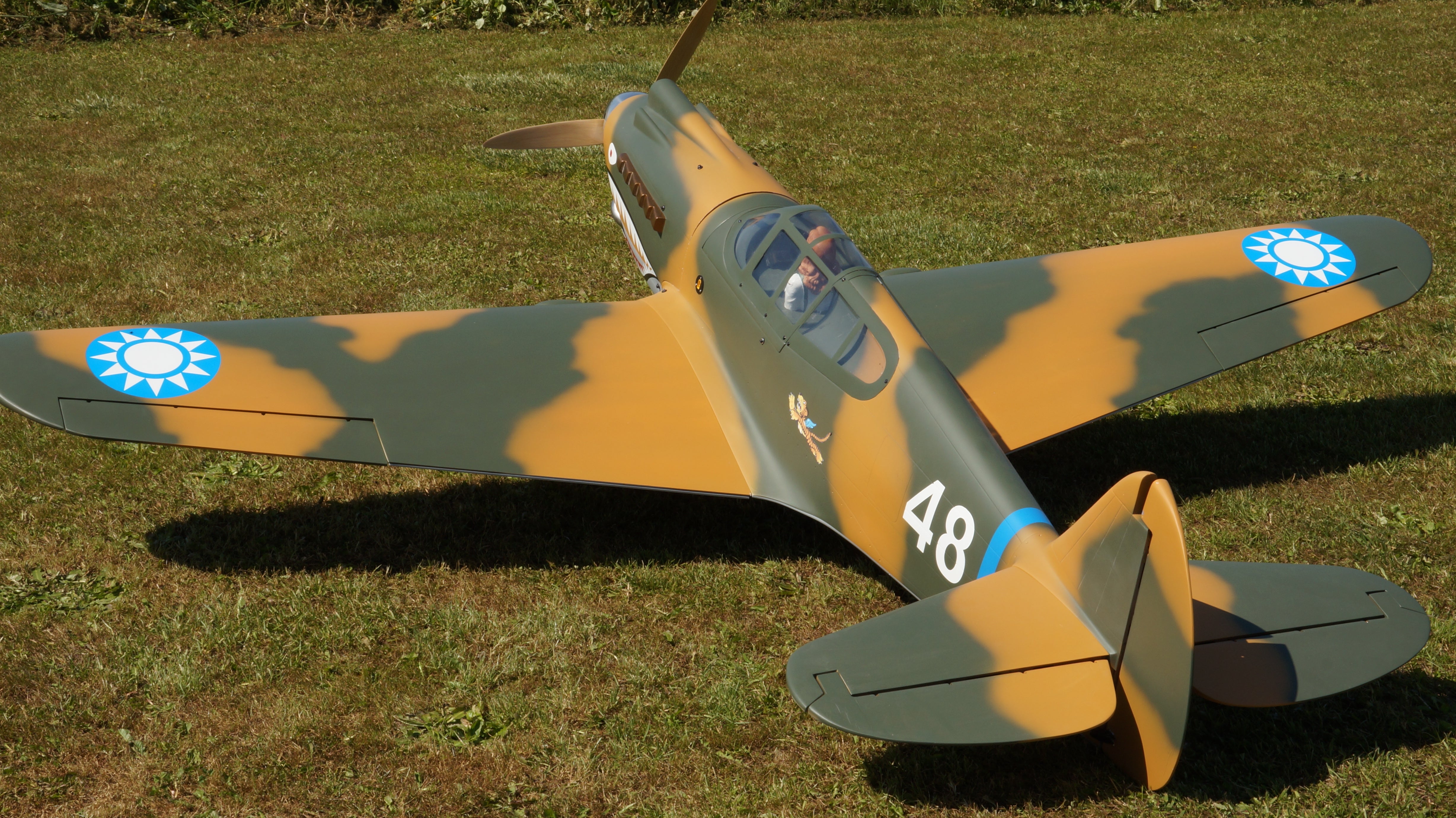 back view of 98" Curtiss P-40 Tomahawk