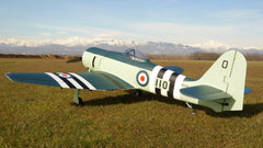 back left angle of the 83" Hawker Sea Fury