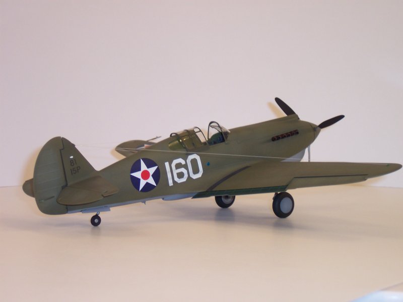 back angled view of the olive drab 89" Curtiss P-40 Warhawk