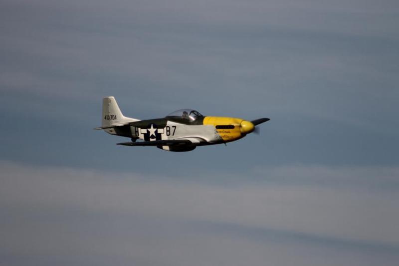 black and yellow 96" P-51D Mustang flying