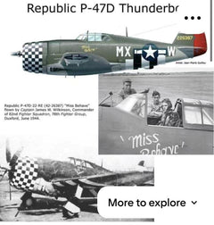 P-47 112in By KYHK