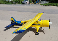 side view of the beaver plane