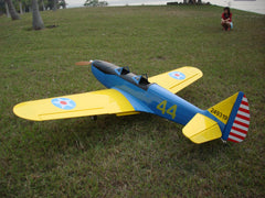 back view of blue and yellow 110" Fairchild PT-19