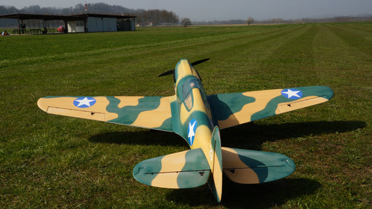 back view of 89" Curtiss P-40 Warhawk