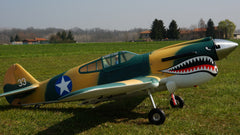 89" Curtiss P-40 Warhawk